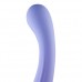 Slightly Curved Dildo