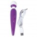 Passion Pointer mini
