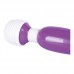 Passion Pointer mini