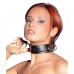 Leren Halsband Met Studs