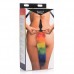 Rainbow Staart Buttplug