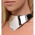 Stalen Halsband Met Koord