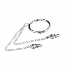 Metalen Halsband Met Tepelklemmen