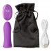 Pro Sensual Bullet Vibrator - Paars