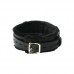 Premium Gevoerde Halsband