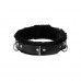 Leren Gevoerde Halsband